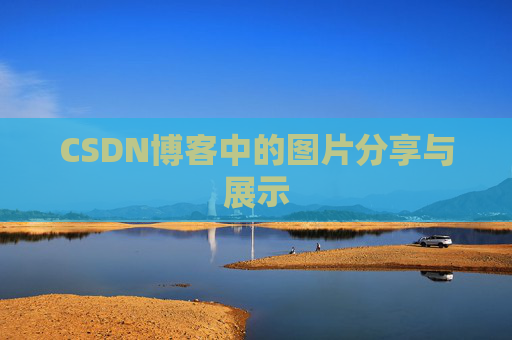 CSDN博客中的图片分享与展示
